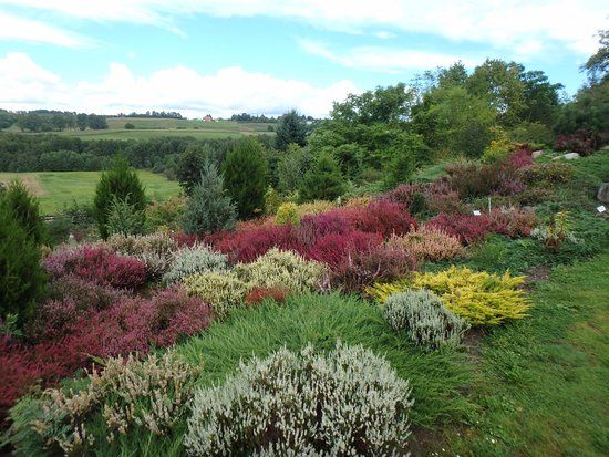 Golubieński Ogród Botaniczny